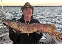 38inch 2016 KOOIKER