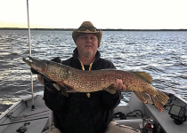 kooiker38pike7516