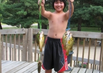 rockbass2