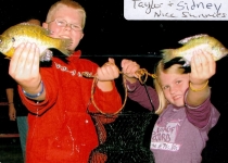 taylorandsidney