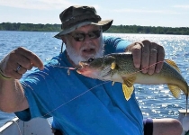tomwalleyejuly42017