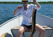 toni fish