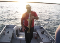 walleye marty