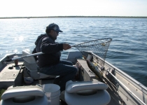 walleye net