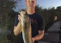 walleye