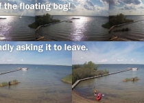 floating-bog